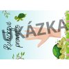 Výzdoba třídy- želvičky
