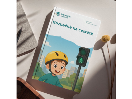 363 1 bezpecne na cestach