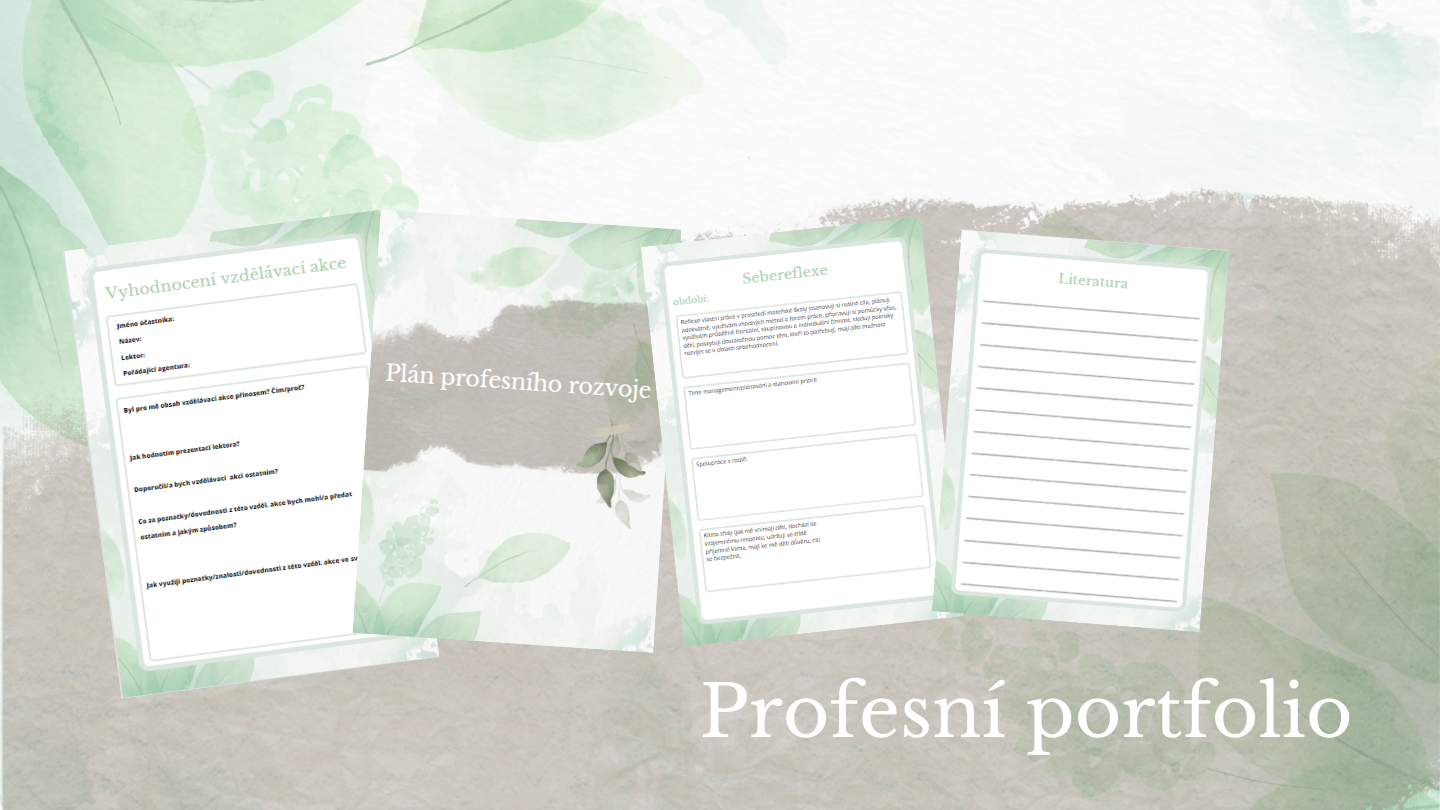 Ukázka portfolia