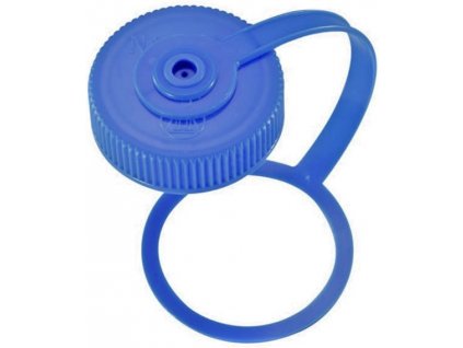 12nahradnivickonalgene53