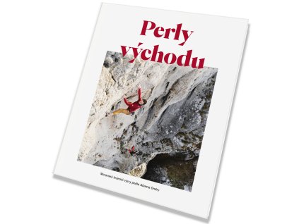 efc69ffe5c5ec5b14e47f5b7af71bdaa 240116 vizualizace perly vychodu white shadow res