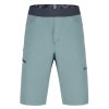 Šortky Direct Alpine Solo 2.0 (Barva artic, Velikost L)