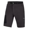 Šortky Direct Alpine Cruise 2.0 pánské (Barva anthr/black, Velikost L)