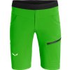 Šortky Salewa Agner Light DST Pánské (Barva Black, Velikost XL)