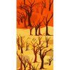 namib