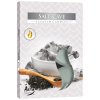 Set 6 Čajových Svíček s různými Vůněmi