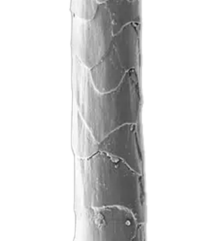 Merino vlákno pod mikroskopom – prirodzená štruktúra pre priedušnosť