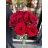 Červené růže - velkokvěté
