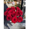 Červené růže - velkokvěté