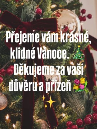 Přejeme vám krásné, klidné Vánoce. 🎄 Děkujeme za vaši důvěru a přízeň 💐✨ #vanoce #stedryden #kytkypraha #kvetinarstvi #kytice