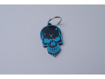 05509 Klíčenka Lebka