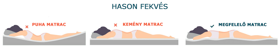 hason-fekves