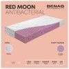 A2 RED MOON ANTIBACTERIAL infografika