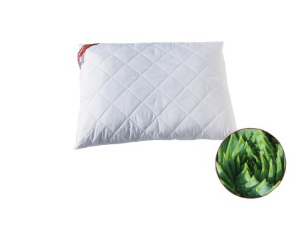 Vankúš Aloe Vera