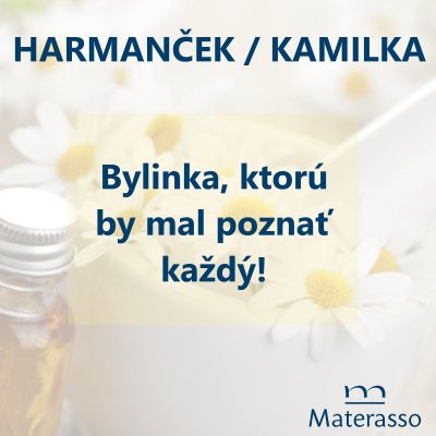 Pozitívne účinky harmančeka (Rumančeka kamilkového)