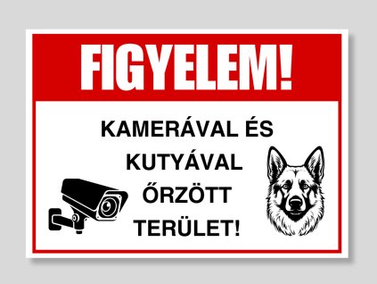 Kamerával és kutyával