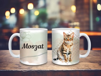 Bengáli macska