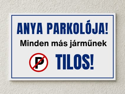 Apa parkolója (5)
