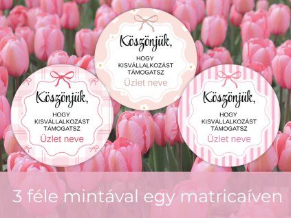 3 féle mintáva (3)