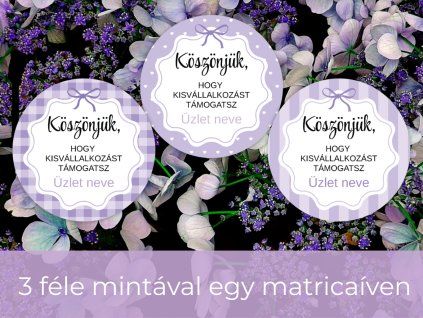 3 féle mintáva (8)