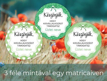 3 féle mintáva (19)