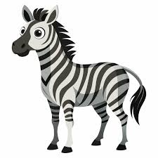 zebra