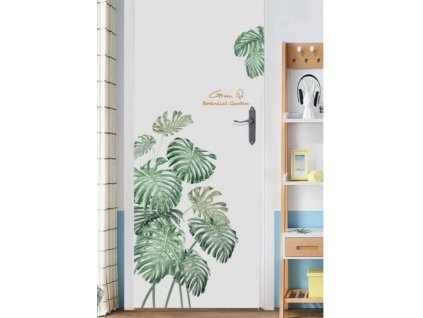 Falmatrica zöld levelek trópusi könnyezőpálma pálma green life botanical garden