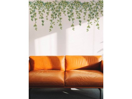 Falmatrica zöld kapaszkodó növény füzér eukaliptusz fikusz lelógó levelek