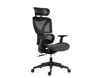 vyr 10058Ester 2