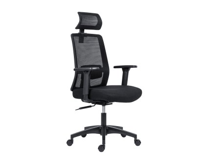 vyr 10063DELFO 002