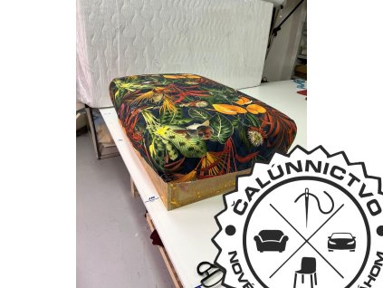 365408423 226829093670000 3862711320609336364 n