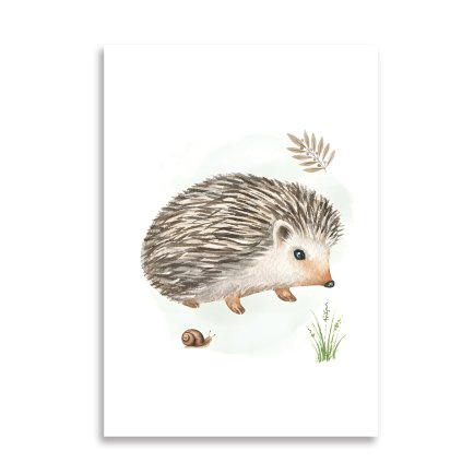 detske obrazky ceska zviratka1