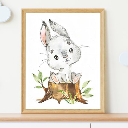 3614 obraz na parezu kralicek