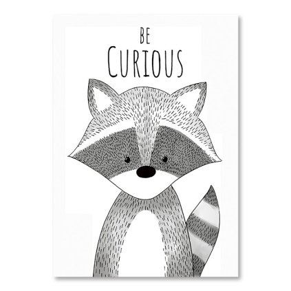 obrazkynazed nordic13