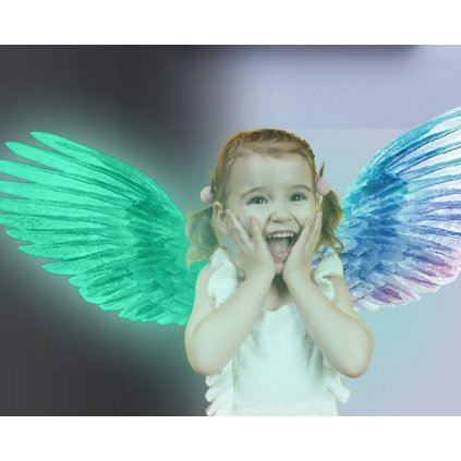 sviticisamolepky kridla2