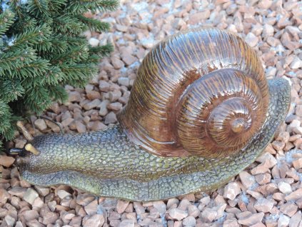 Soška hlemýžď s ulitou 30 cm D4
