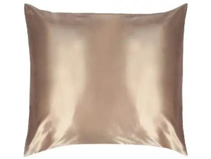 100% Hedvábí povlak na polštář  45x45cm, 22mm - CHAMPANGE