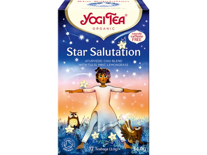 BIO Čaj Pozdrav hvězdám Yogi Tea - Star Salutation 17x1,9g