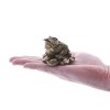 Soška - Bohatá žába  s mincí podle Feng Shui
