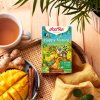 Bio Čaj Happy Nature - Veselá příroda 17x 1,9 g