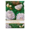 Parfémovaný sáček do zásuvky - Kamélie (Camelia)