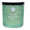 Vonná svíčka ve skle Svěží eukalyptus - Cooling Eucalyptus, 9,5oz