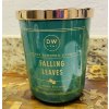 DW Home Vonná svíčka ve skle Falling Leaves 15,1oz