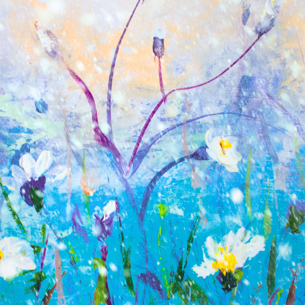 bella-kopretinky-v-desti