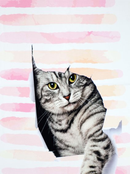 PANEL bavlněný úplet MOUROVATÁ KOČKA 40x50 cm