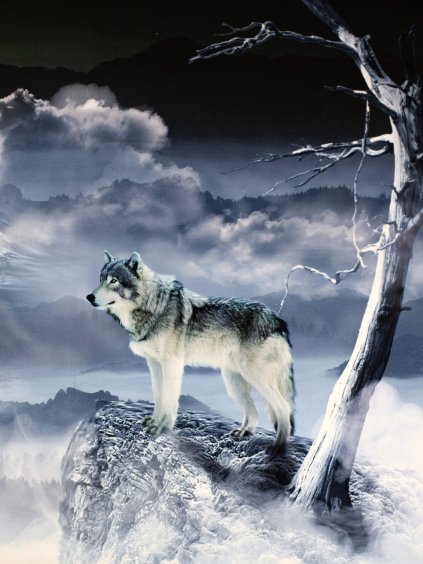 PANEL bavlněná teplákovina VLK A MĚSÍC 175x80 cm