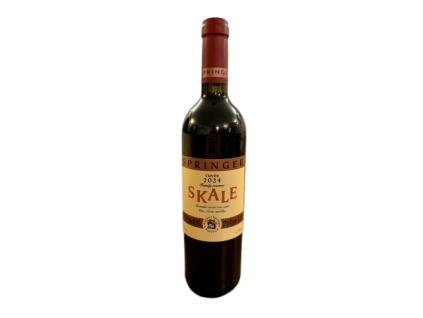 SKALE 2024 500x500