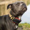 Tracker pro psy DOG GPS ultra