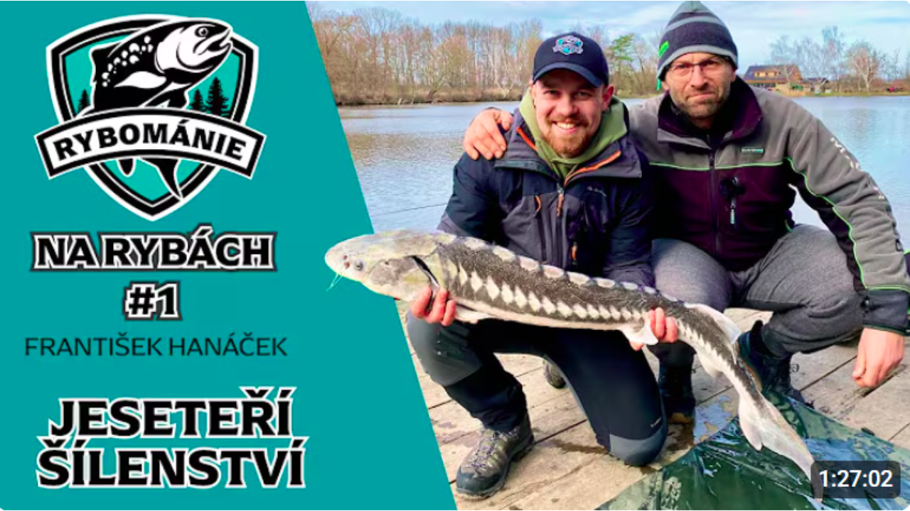 Jeseteři na plavanou! To jsme teda nečekali. Franta Hanáček v Rybománii na rybách