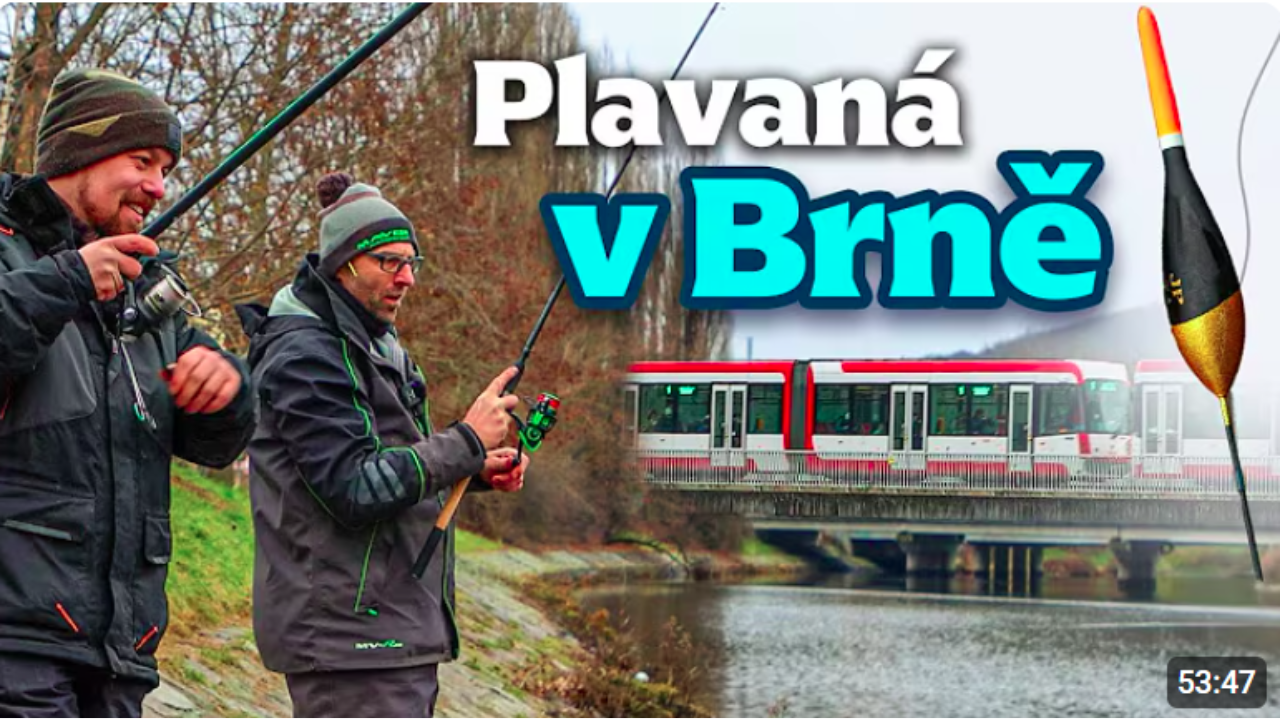 Zimní plavaná v centru Brna s Frantou Hanáčkem! Rybománie na rybách #32